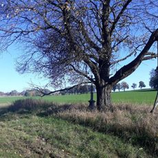 Kříž západně od Štítného u rozorané cesty