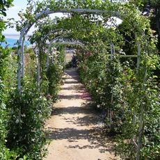 Musée Christian Dior