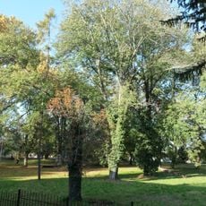 Kaštieľ a park, park