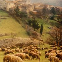 Saint-Andéol-de-Berg