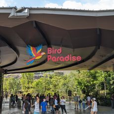 Bird Paradise
