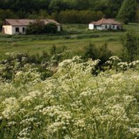 Shyriaieve municipality