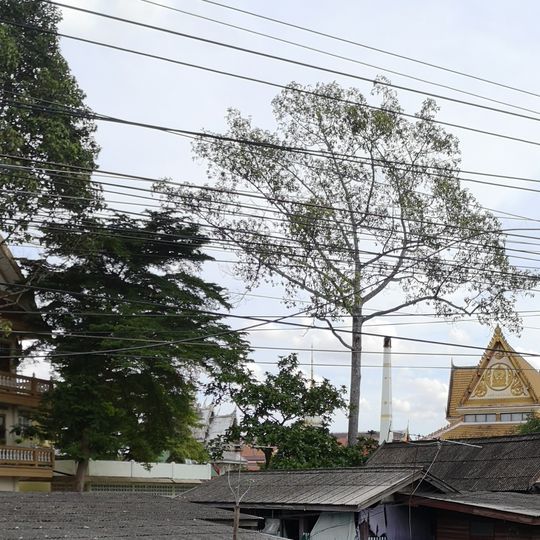 Wat Bang Luang