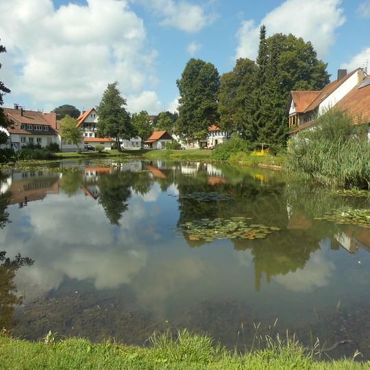 Zaininger Hüle mit Baumbestand