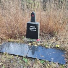 Братская могила советских воинов, погибших в годы советско-финляндской войны (Питкярантское г.п.)