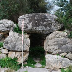 Talaiot de Son Coll Nou