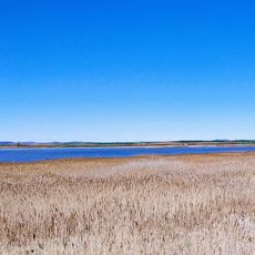 Laguna de Gallocanta