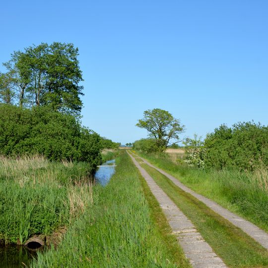 Hennstedter Moor