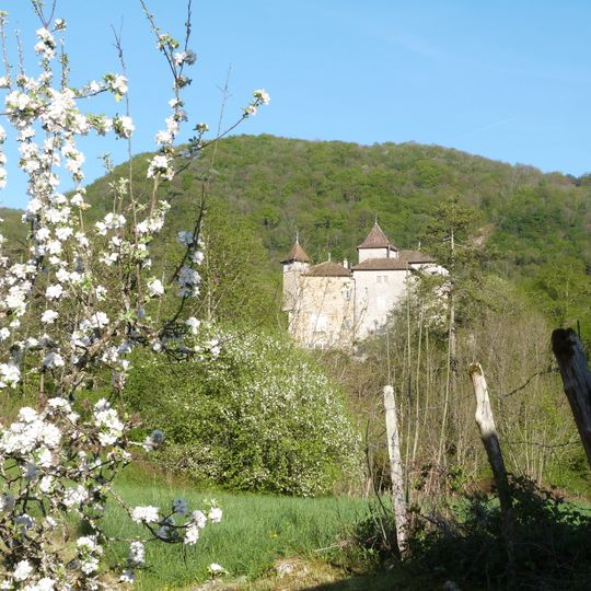 Château de Coiselet