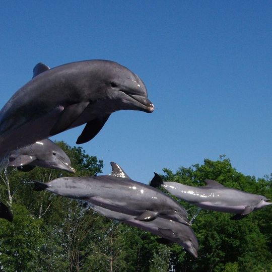 Tiergarten Am Tiergarten 6 in Nürnberg