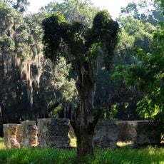 White Hall Plantation House Ruins and Oak Avenue