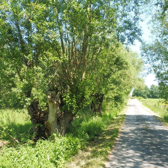 NSG Elser Holz - Rottberg