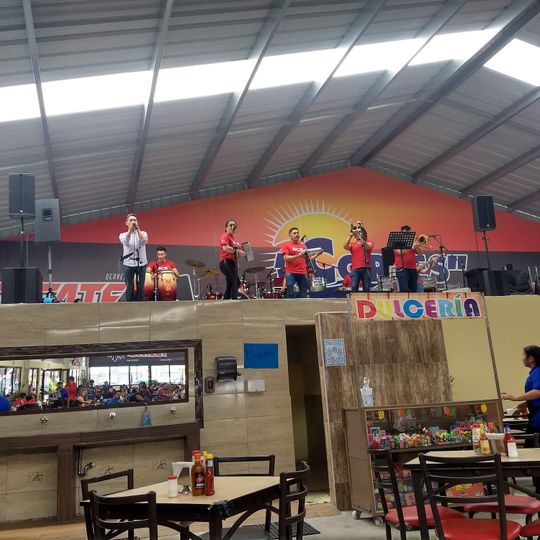 Pescados Y Mariscos Cortes