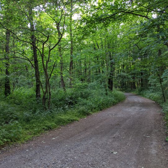 Lovecký zámeček Opočno