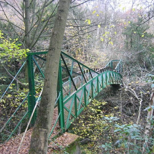 Castle Eden Dene