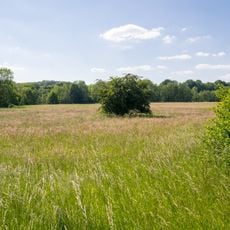 Nieseniederung mit Mündungsbereich
