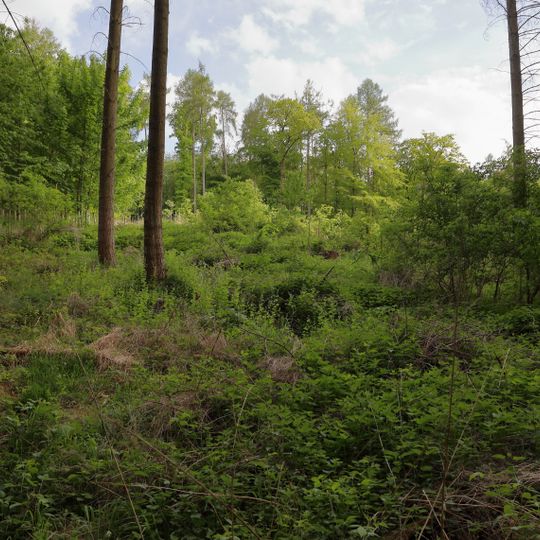 Quelle Tauberberg Abt. 2 a/2