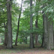 Park pałacowy, XVIII/XIX