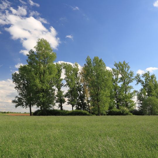 Flachmoor Engelshütte