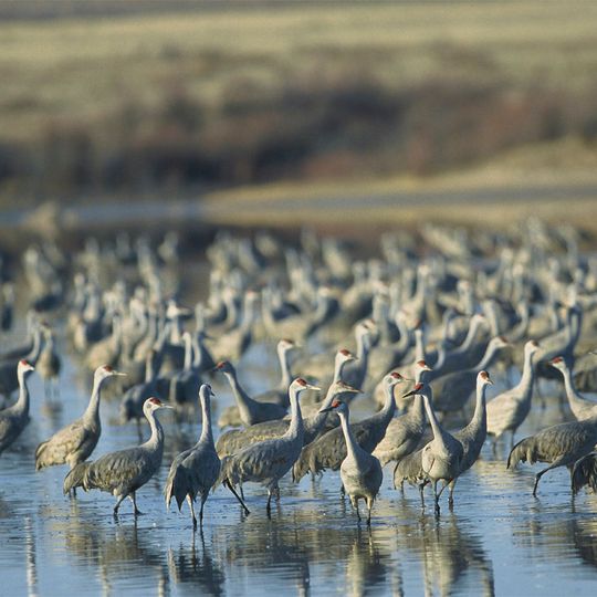 Muleshoe National Wildlife Refuge