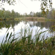 Nature reserve Bagno Chlebowo