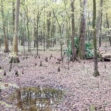 Sherburne Wildlife Management Area