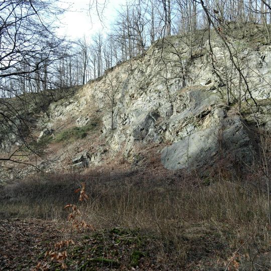 Naturdenkmal Steinbruch am Mordgrund Dresden