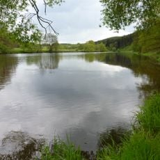 NSG 'Regentalhänge zwischen Kirchenrohrbach und Zenzing'
