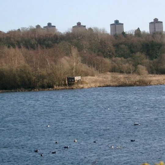 Baron's Haugh RSPB Reserve