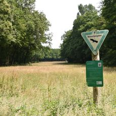 Hegbachaue bei Messel