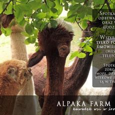 Alpaka Farm