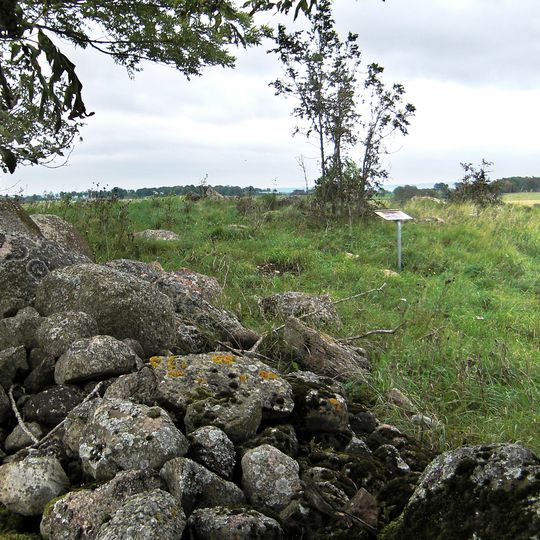 Falköpings östra 2:1