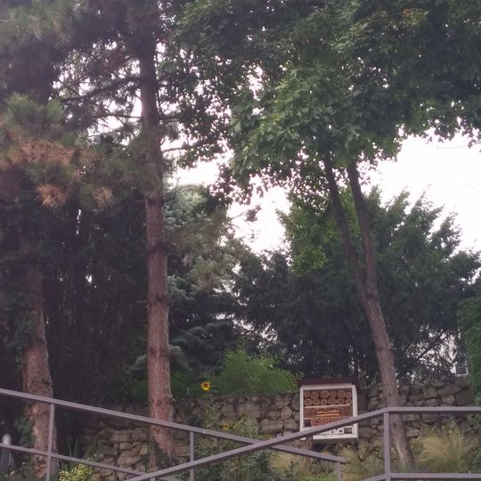 Vila so záhradou, vila