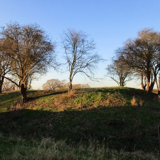 Motte and bailey castle, fishpond and moated site north and east of Aughton church