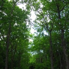 Kübassaar Nature Park