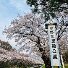 茅野市運動公園