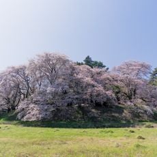 Nanakoshiyama Kofun