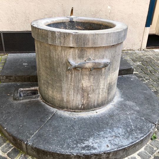 Brunnentrog mit Fischrelief