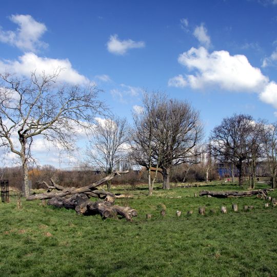 Little Wormwood Scrubs
