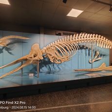 Zoological Museum Hamburg