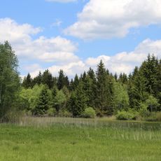 Eglinger und Ascholdinger Filze