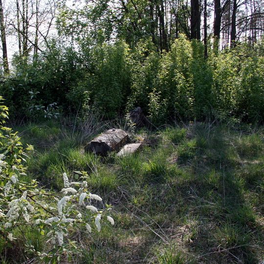 Układ przestrzenny miasta