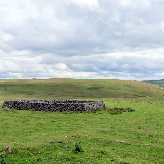 Sheepfold 3/4 Miles North Of Greensidehill