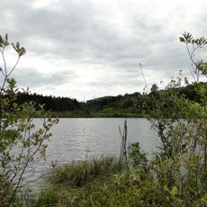 Schlemminer Wälder und Kleingewässerlandschaft