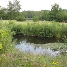 Tävsmoor/Haselauer Moor