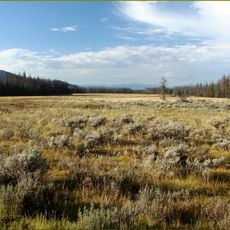 Harbison Meadow