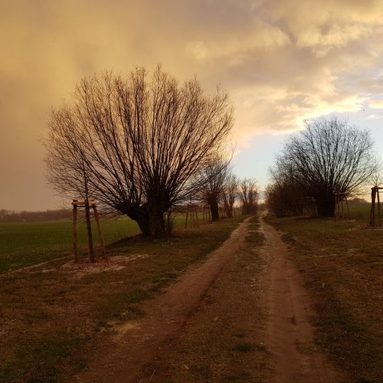 Landschaftsschutzgebiet Oderhänge Seelow-Lebus