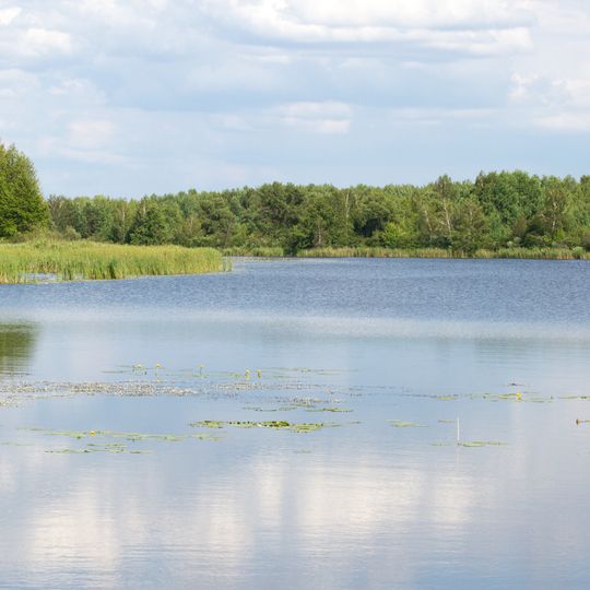 Kozynskyi Reserve