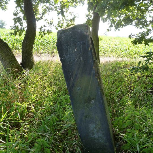 Sächsisch-Preußischer Grenzstein: Pilar Nr. 194
