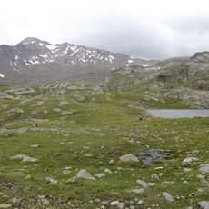 Pfroslkopf
